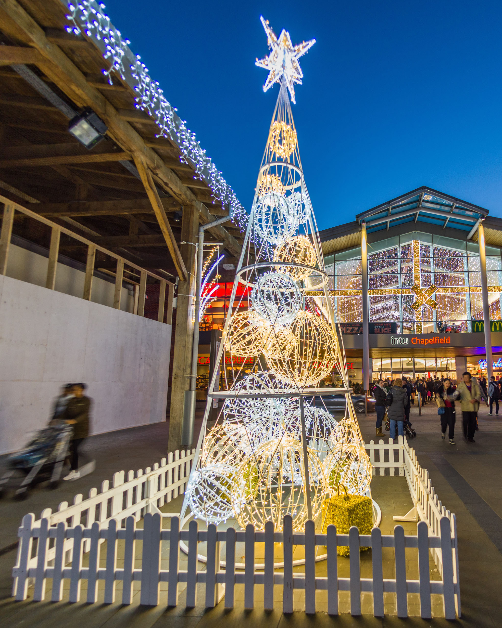 Festive Lighting 2