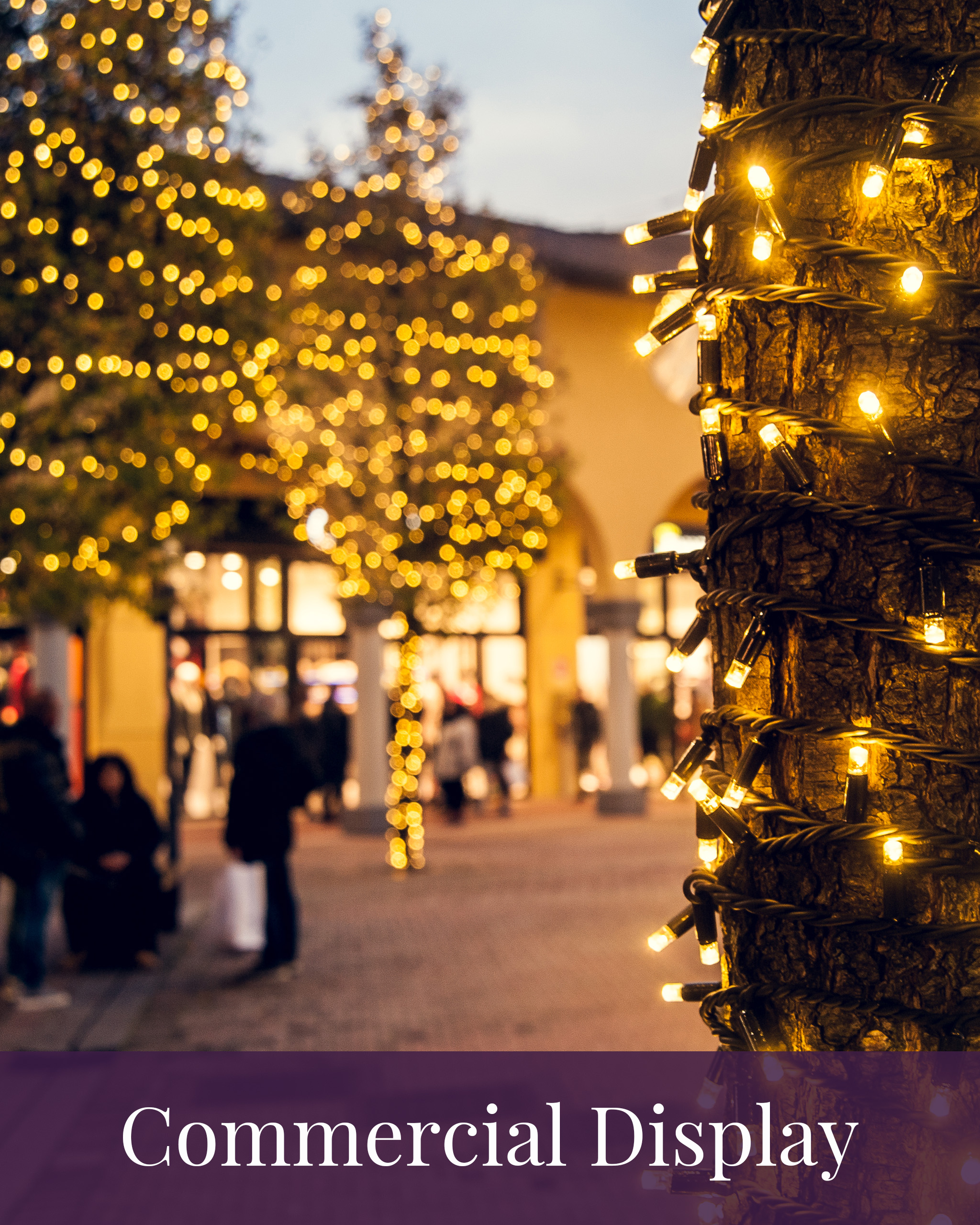 Image of warm white string lights on trees outside with the phrase 'Commercial Display' at the bottom over a purple box.