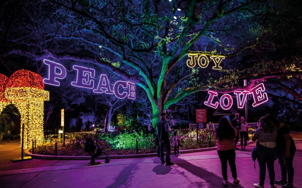 The words peace, joy, and love lit up in purple, yellow and pink, and hanging off a tree to create a colourful display outdoors.