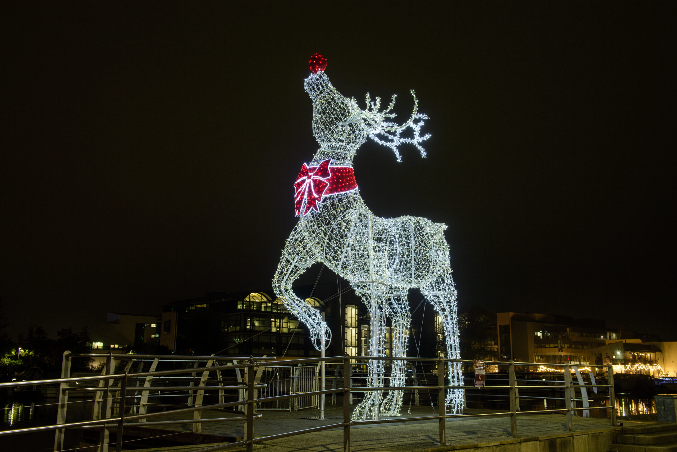 Large light-up 3D reindeer motif displayed in Lincoln City Centre for the Christmas season.