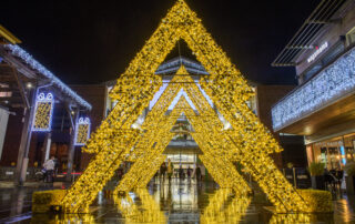 An installation at Chantry Place Shopping Centre featuring contemporary large-scale Christmas Trees.