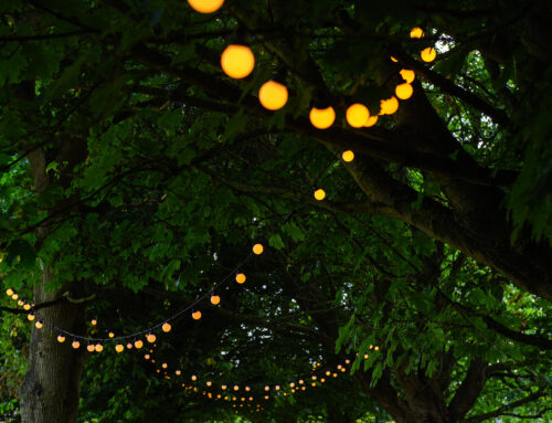 Spring Lighting Ideas for Your Business